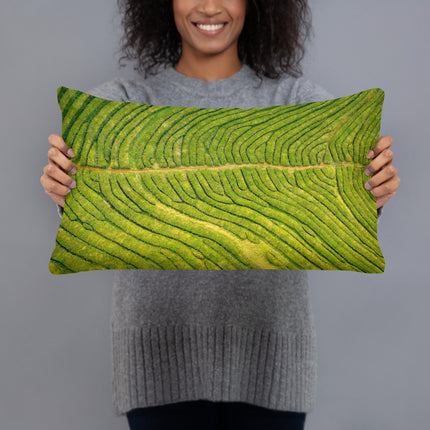 São Miguel | Chá Gorreana - Pillow