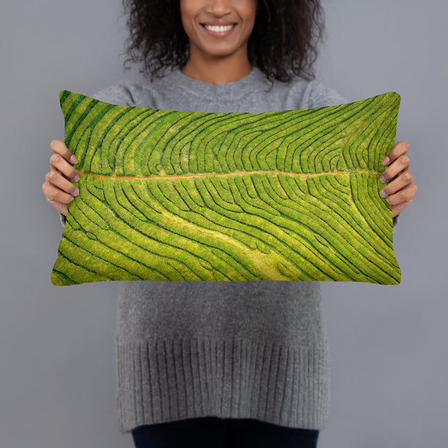 São Miguel | Chá Gorreana - Pillow