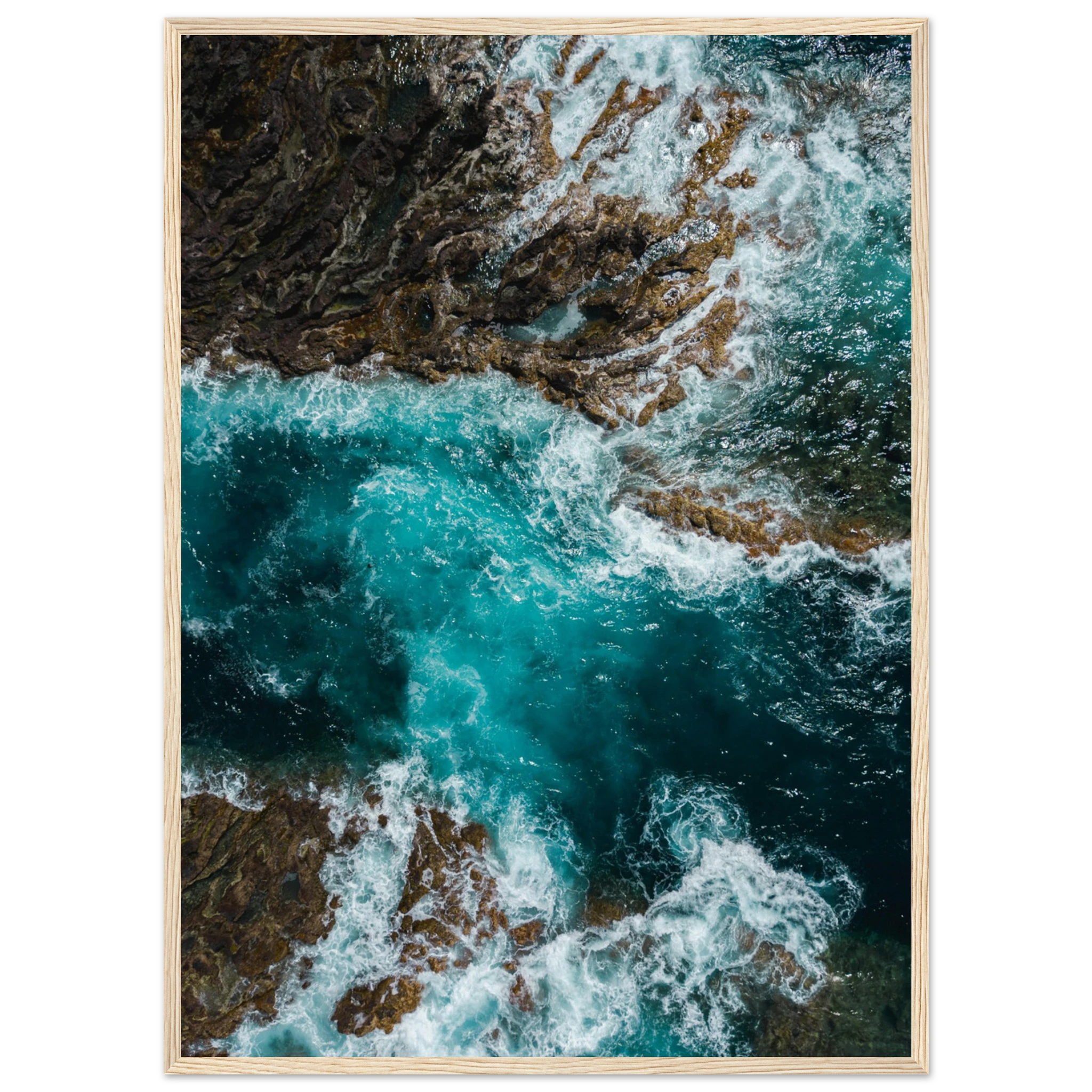 b6c665c9-a022-4dd5-9e20-f8e79353740f