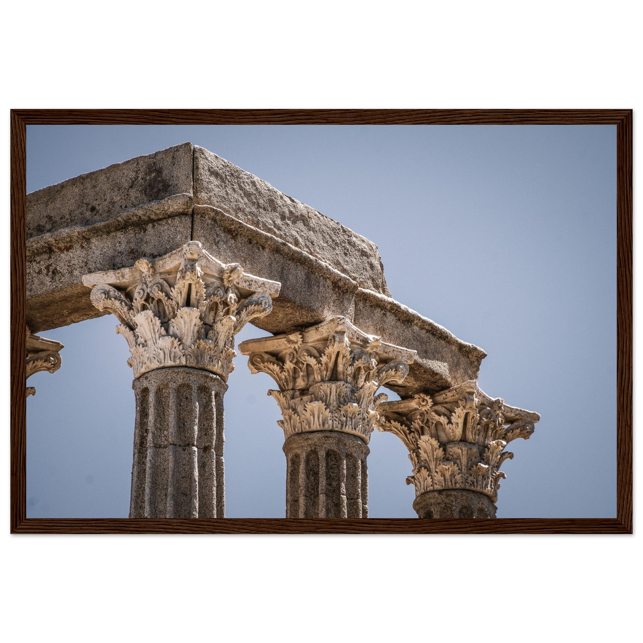 c18a24b0-ca68-4b66-8f90-6a9e13adbf7c