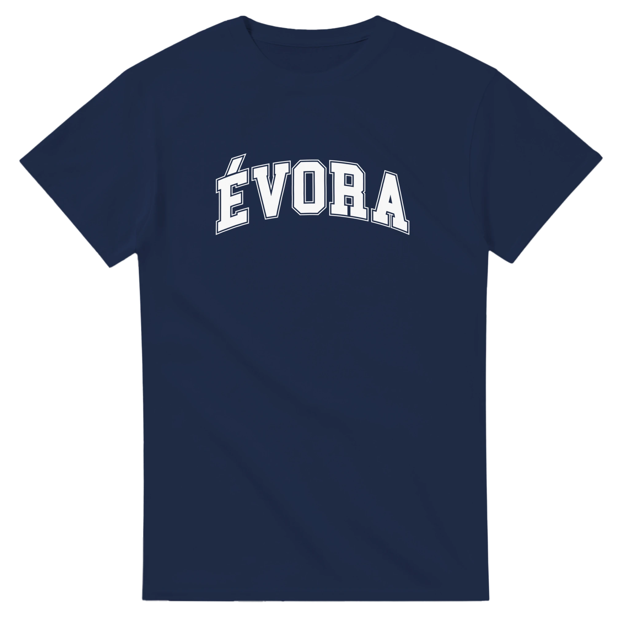 c2e2b671-7f20-401f-8a00-29b833c179dd