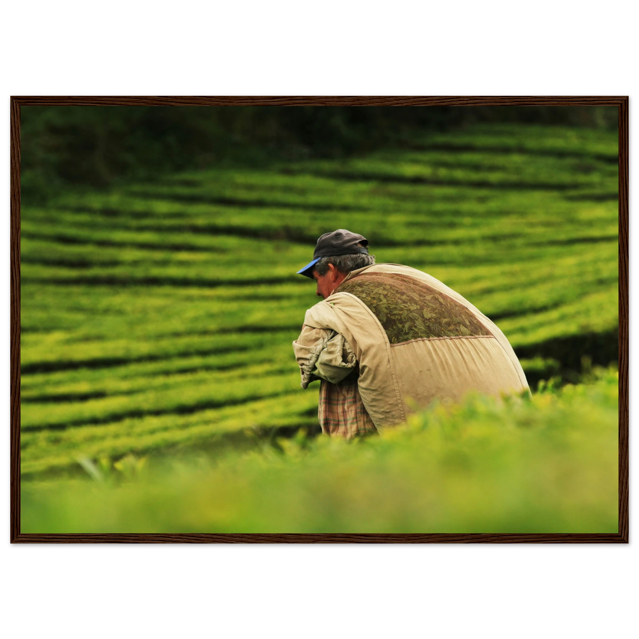 c379f0a8-75fe-4bfc-a0e9-6305f13d7a88