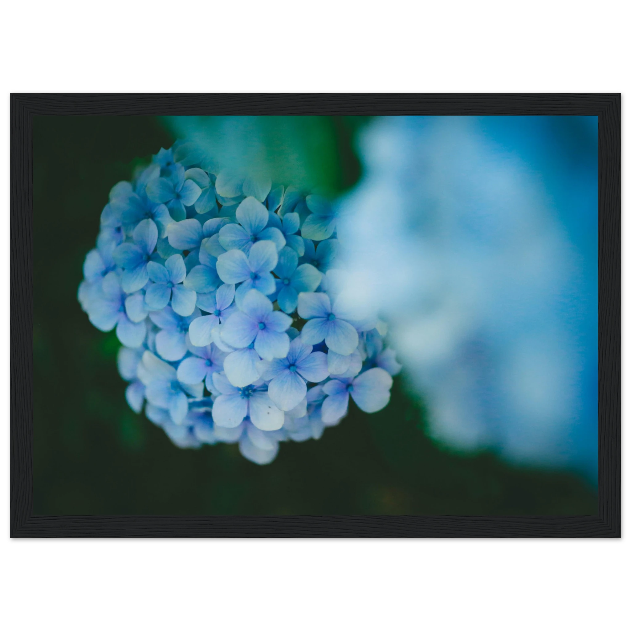 c858a25b-30bd-4491-bf77-d996aa8c2d18