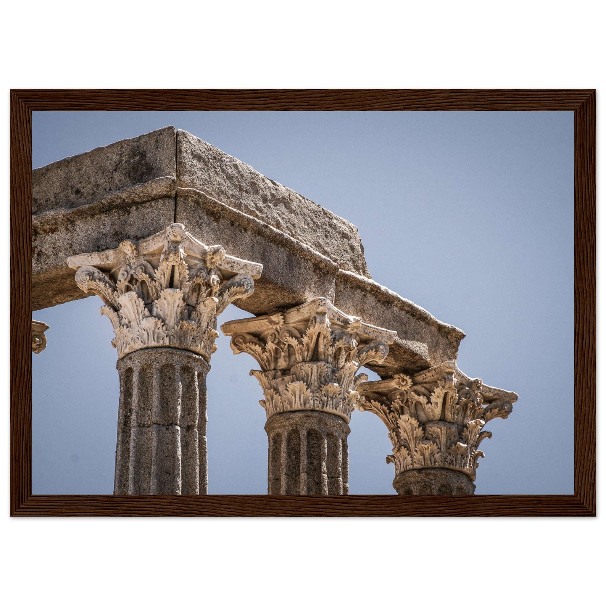 c8e2322f-4ed5-4549-a6a9-91628bdb8708