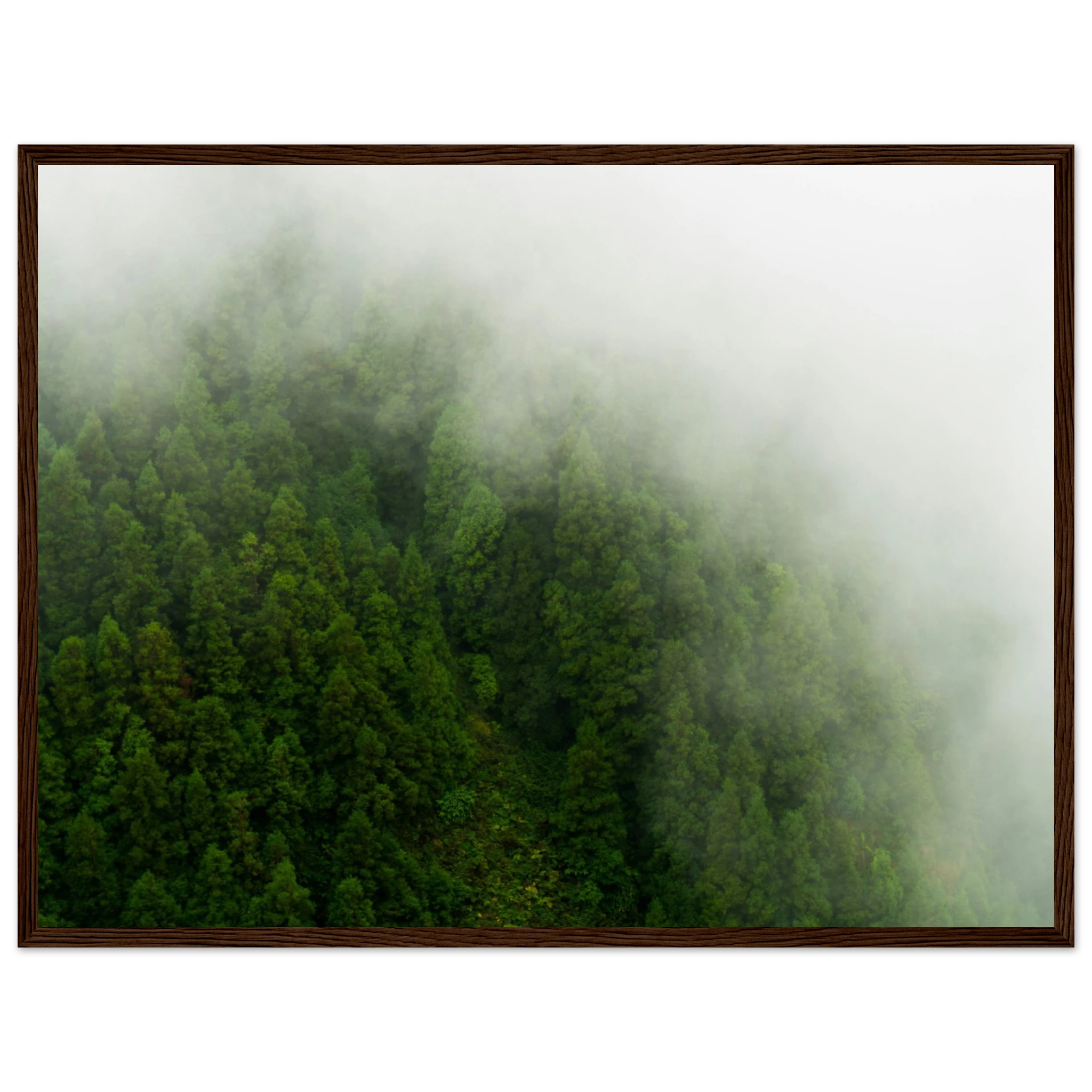 c9afd4a0-6b61-4023-8ec8-26fd3275639a