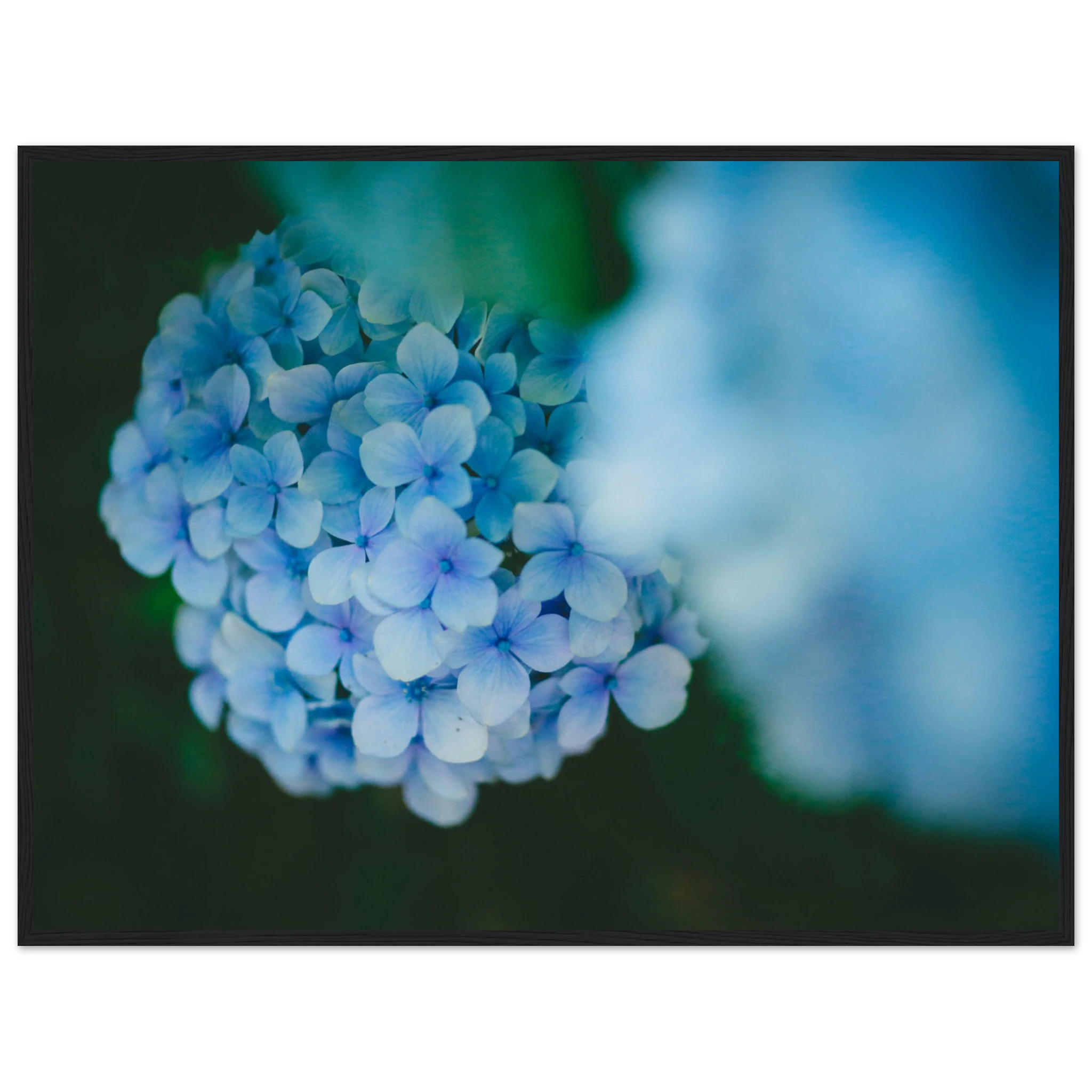 ca798c3c-c1f5-413f-9c3a-058f5628ba42