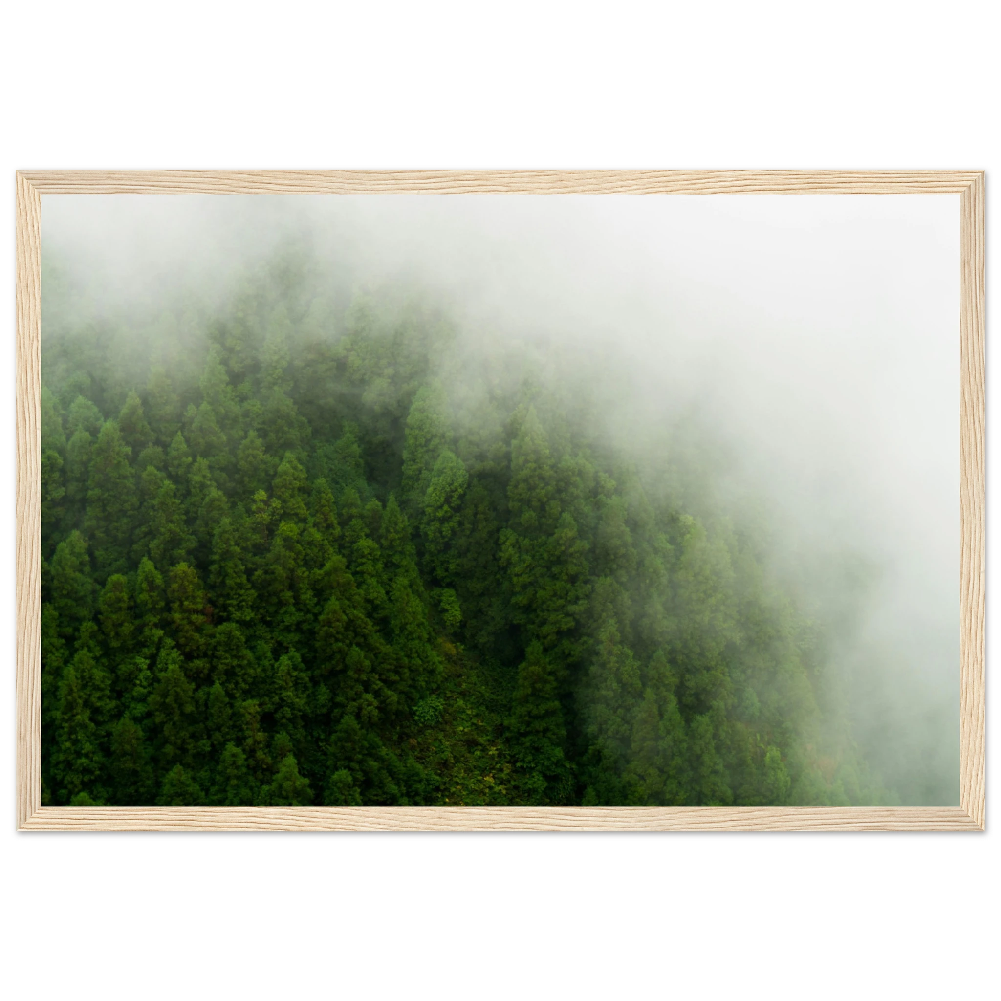 caecd3a0-ee7f-437c-93df-bc2c19ac52fe