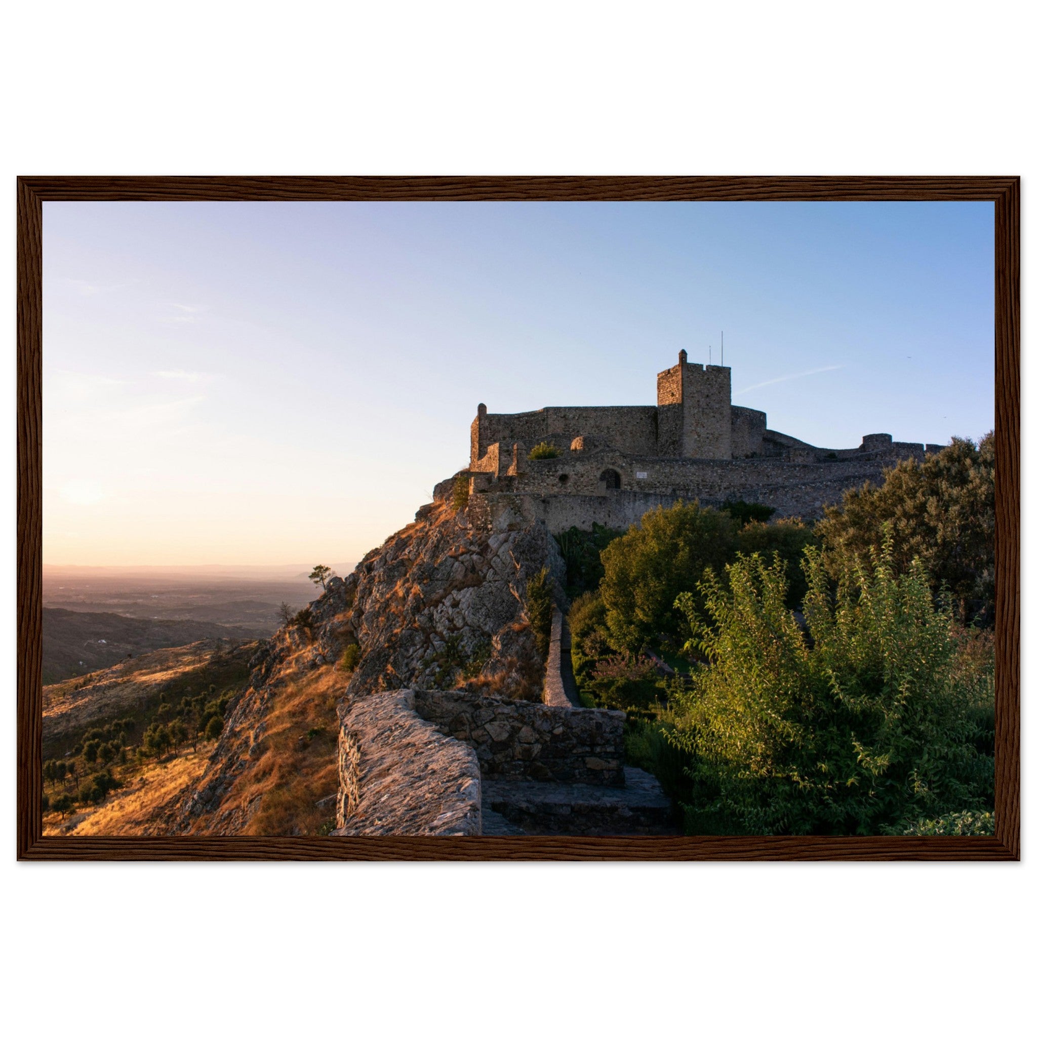 cd95e864-bc0a-49dd-99d4-a79dfca6b9f3