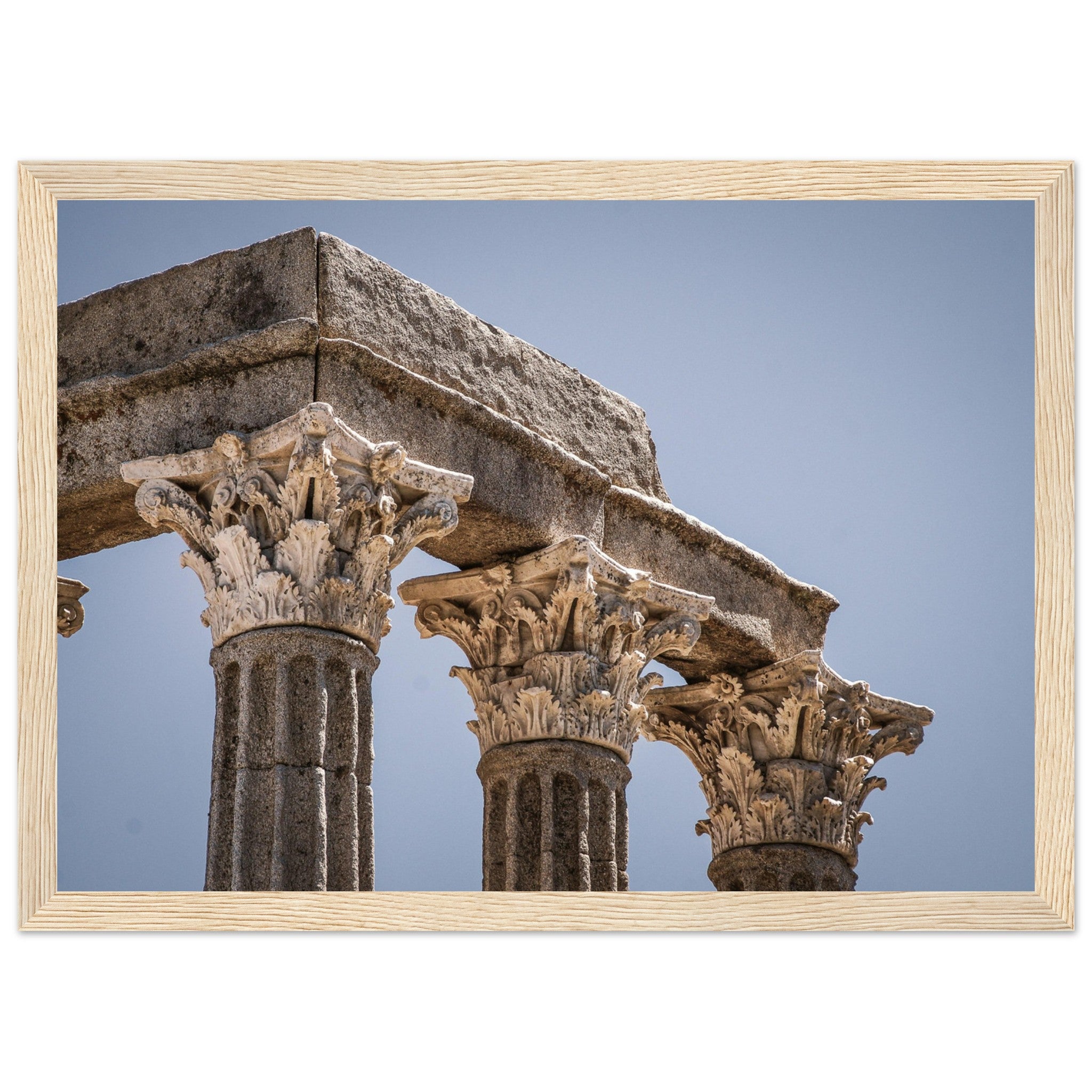 d02a9887-875b-43da-b267-d91d71ef5f67