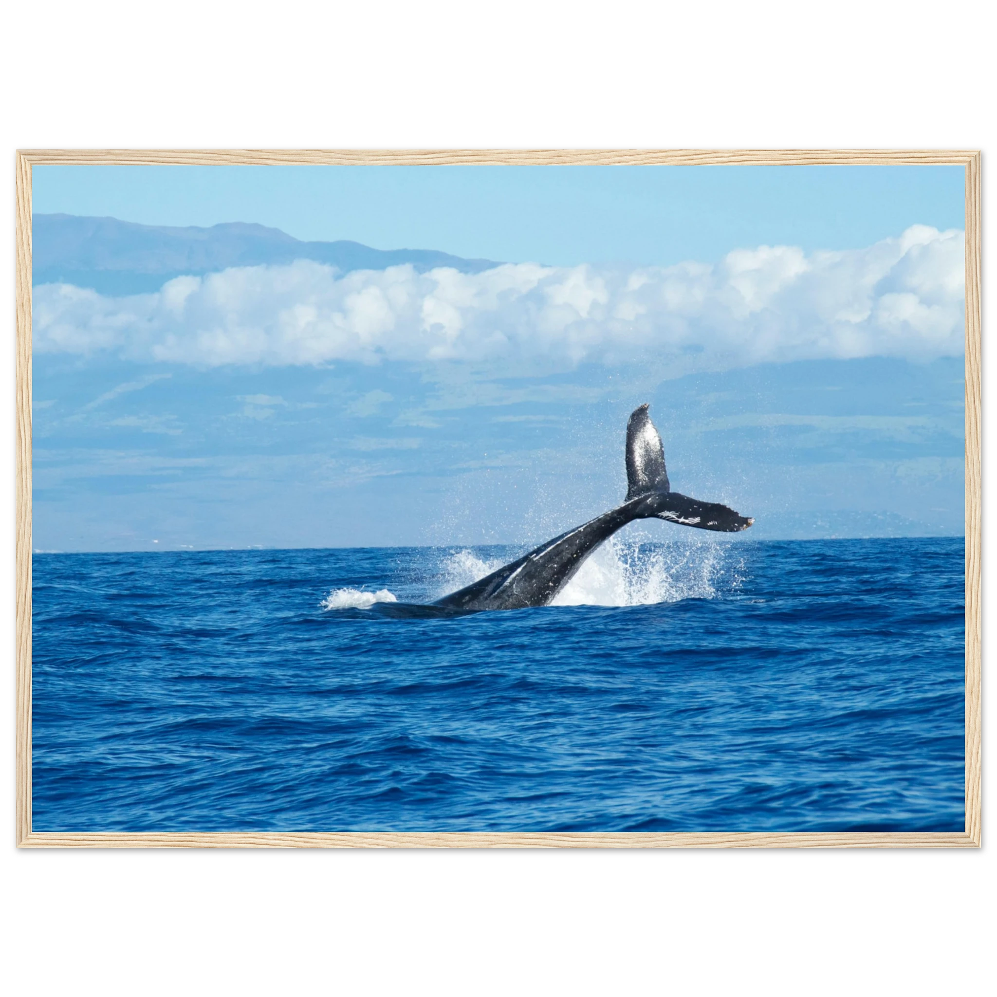 d3556a3a-f267-4fb7-8f7a-2a5b6fedda8a
