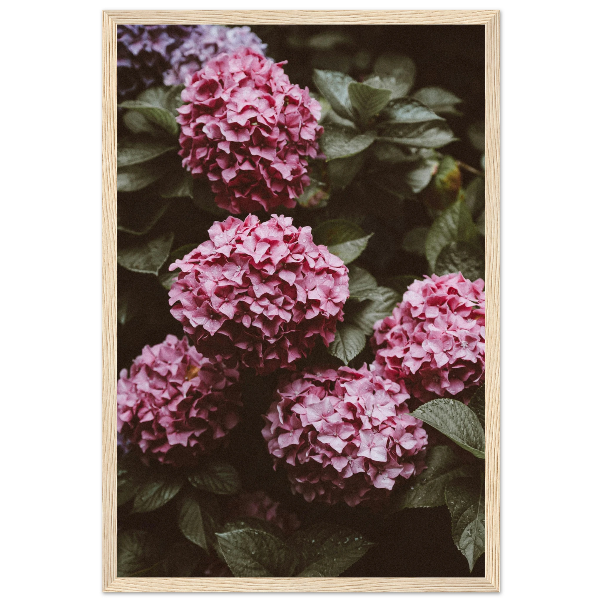 d481d2bb-ca51-4738-b955-2a844873f491