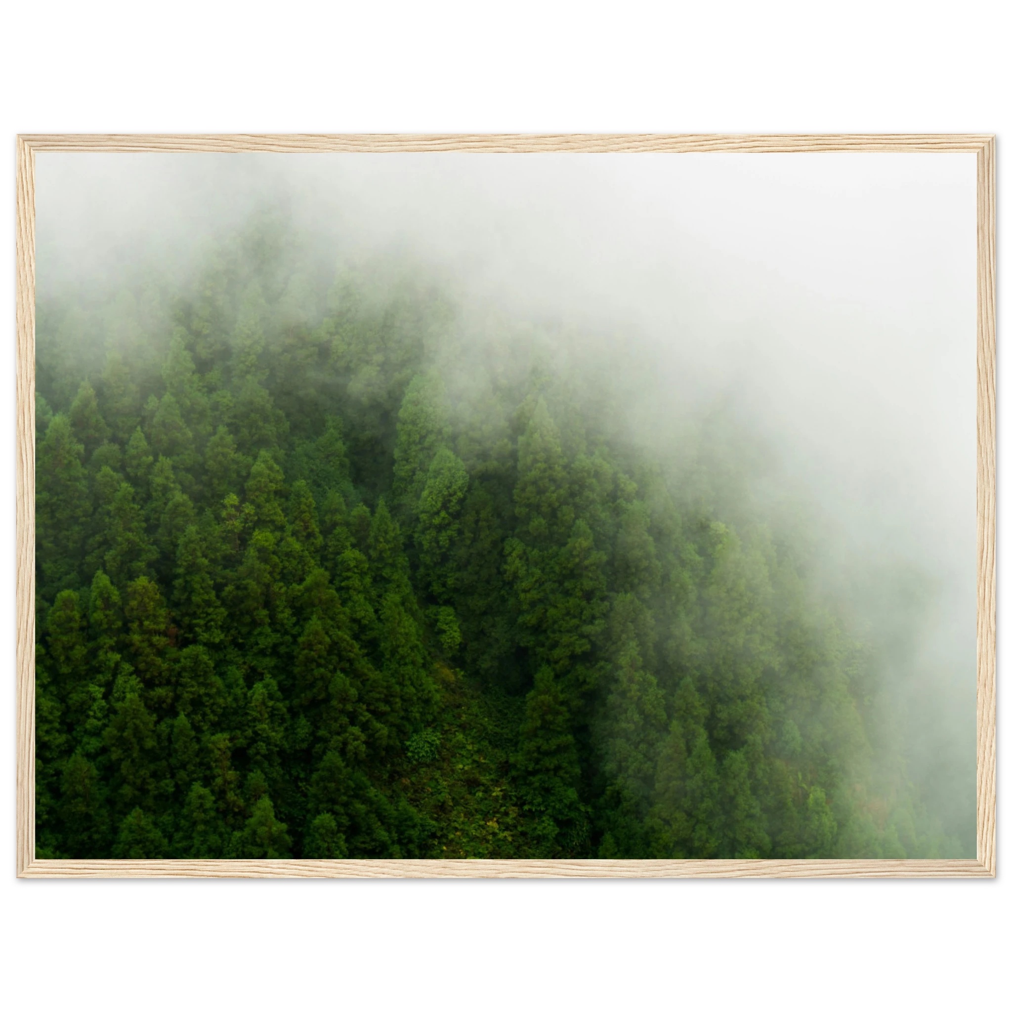 d6639169-cd7e-4af0-8b9c-b42f75a5df51