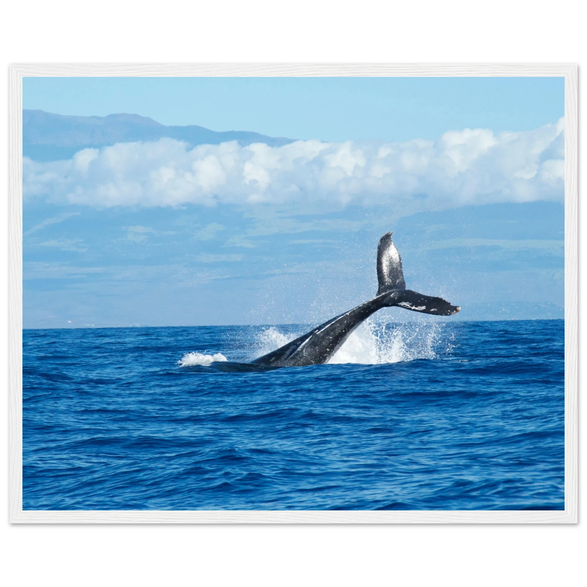 d851078c-9993-4bd9-b4b0-1423d9e6900d