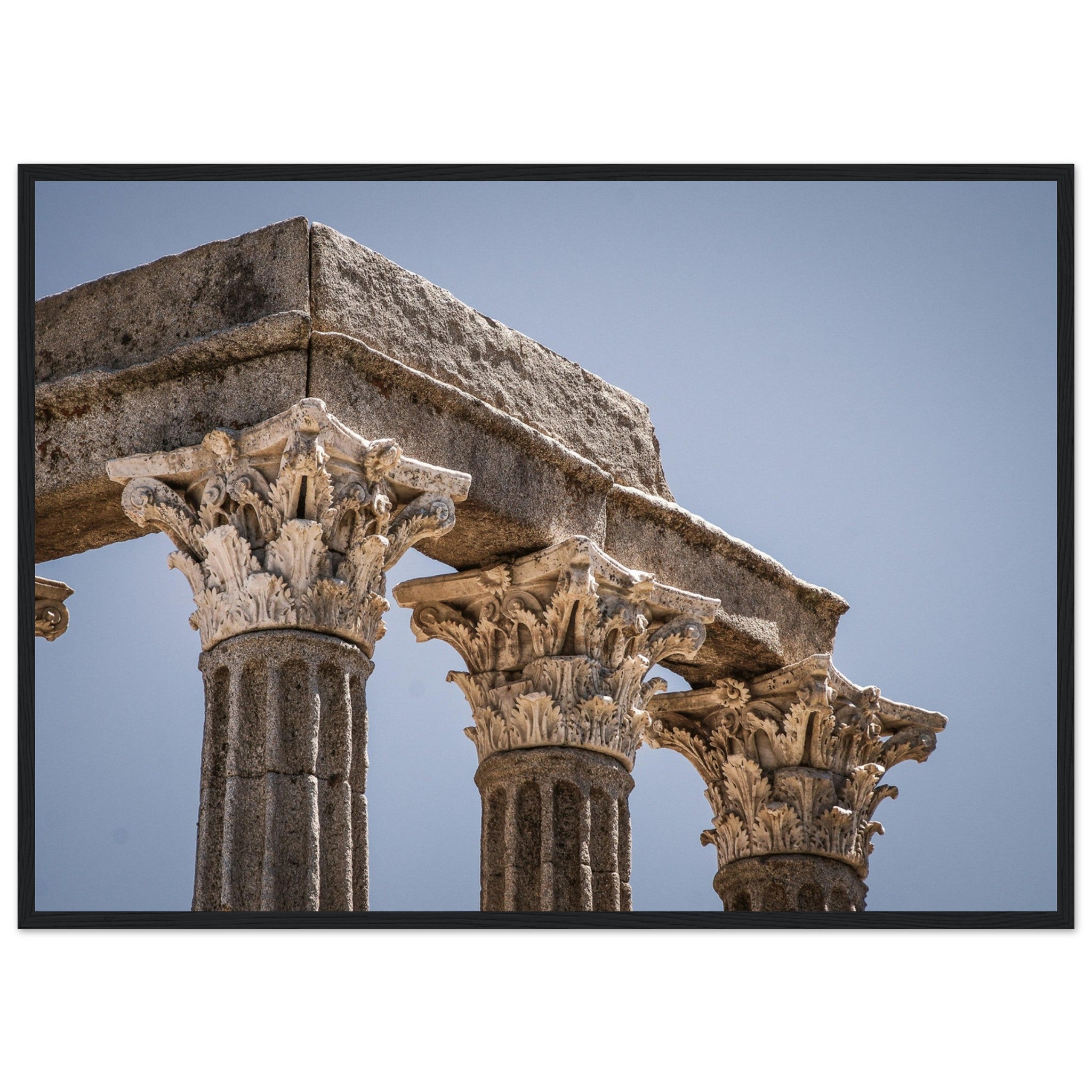 d890e5bd-ea1e-4435-a970-34647b7f0dda