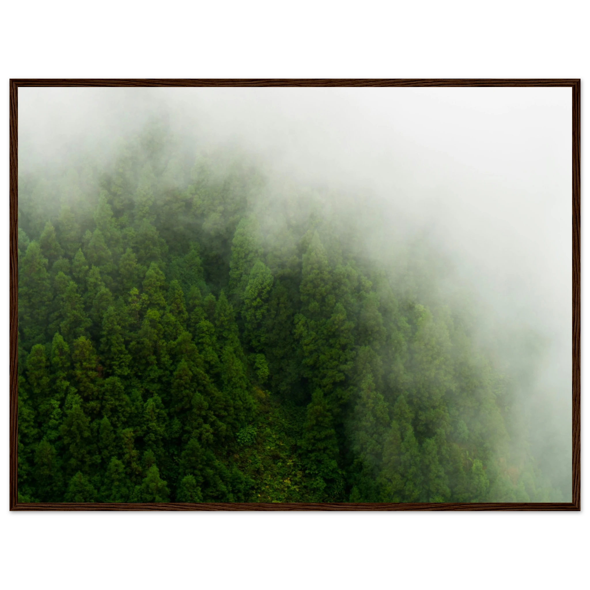 dcd4f574-9abf-4fcf-be98-8f950efff187