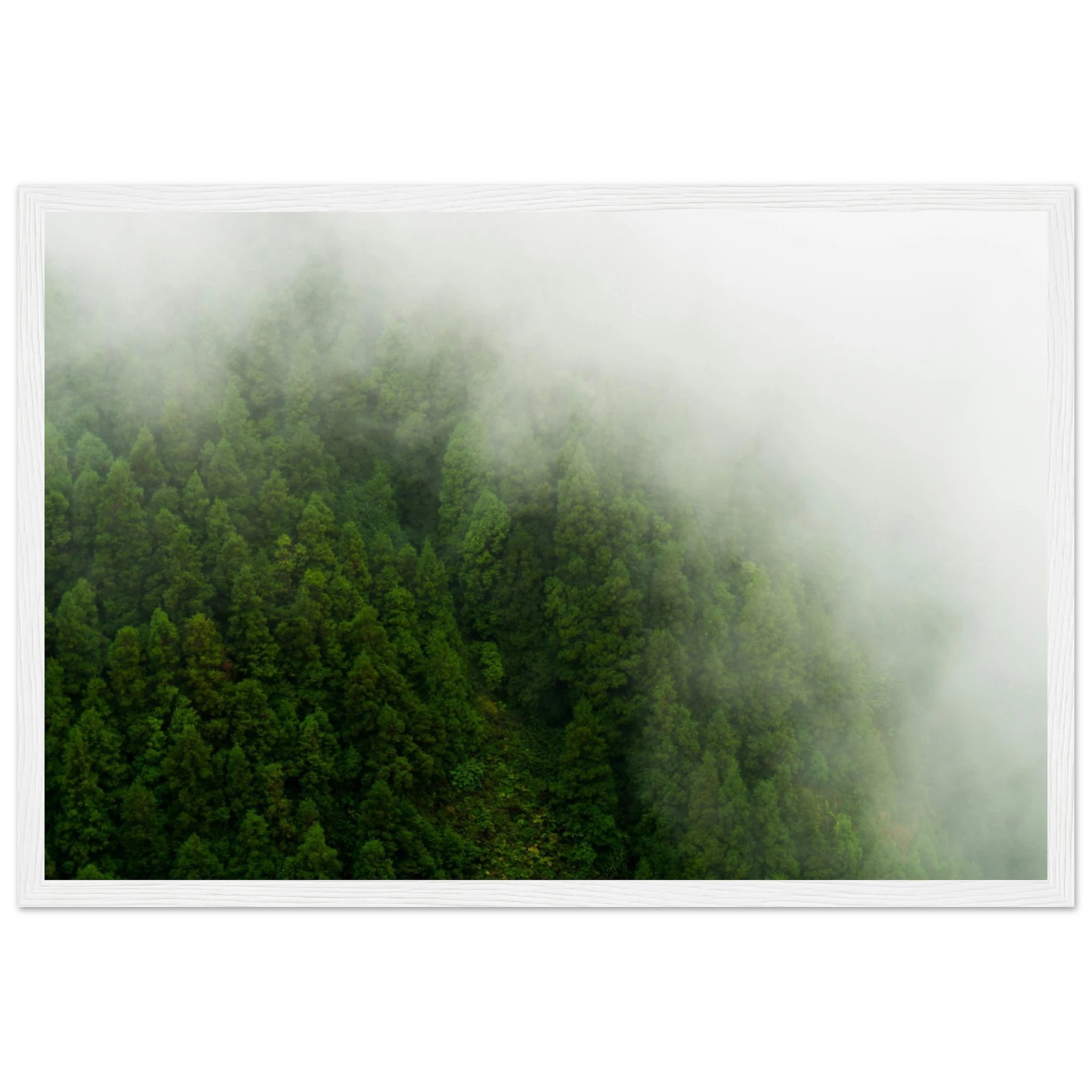 e05953d8-8749-4752-b132-bd8b0c29a449