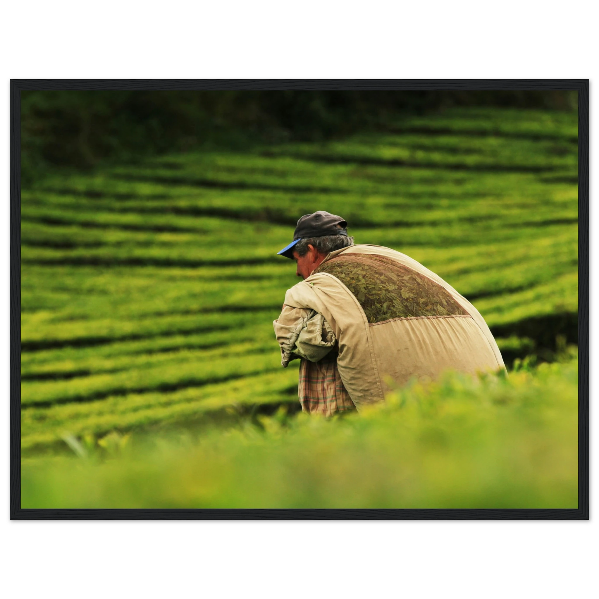 e0633935-f2f6-4d58-a88f-f901bcb44356