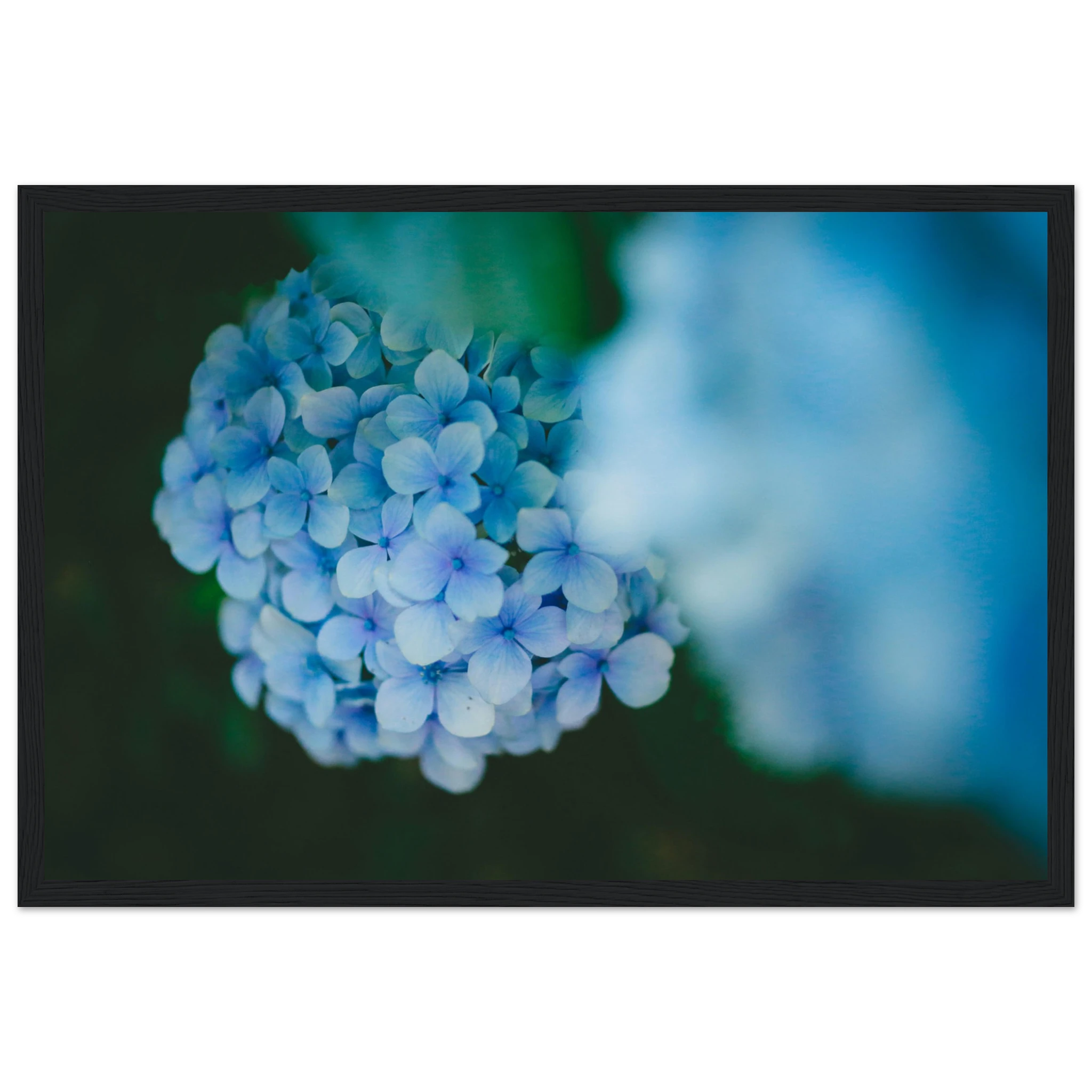 e54dfc58-f3e8-4513-91e0-d1163c6629b9