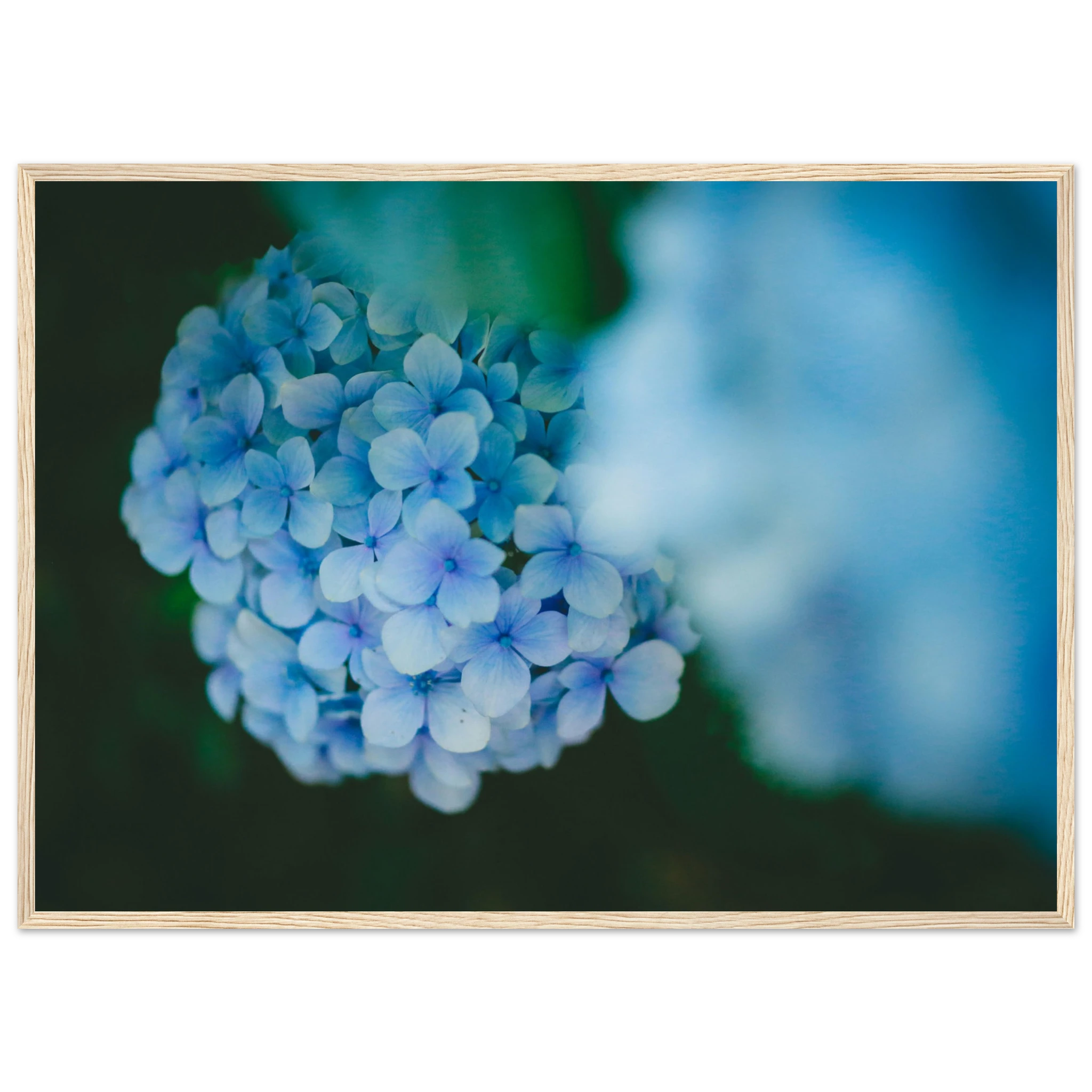 eb9cde32-6743-40e3-8e7b-02ee53cc4292