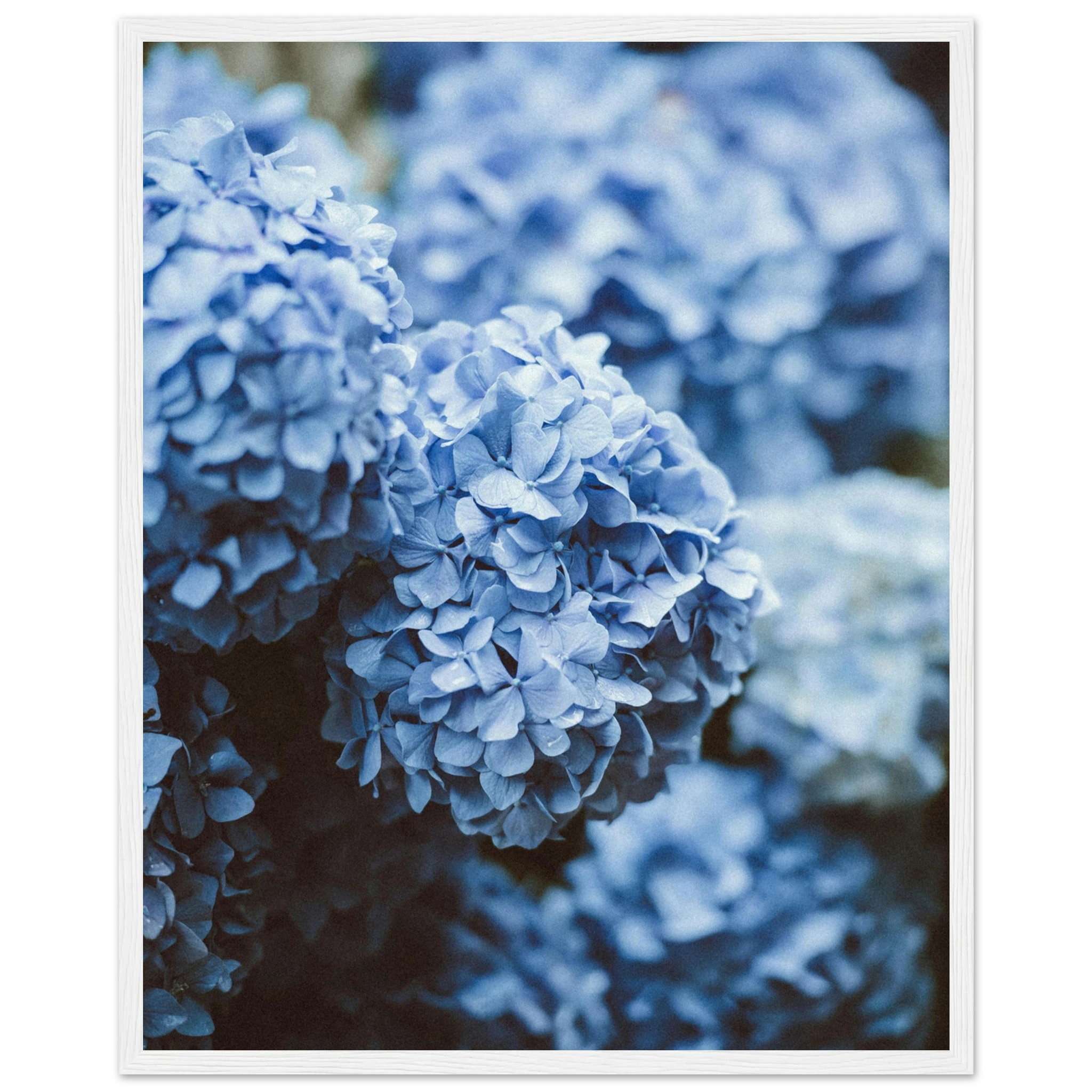 ed781a22-1a8c-4893-926a-4c1cd4b09bd5