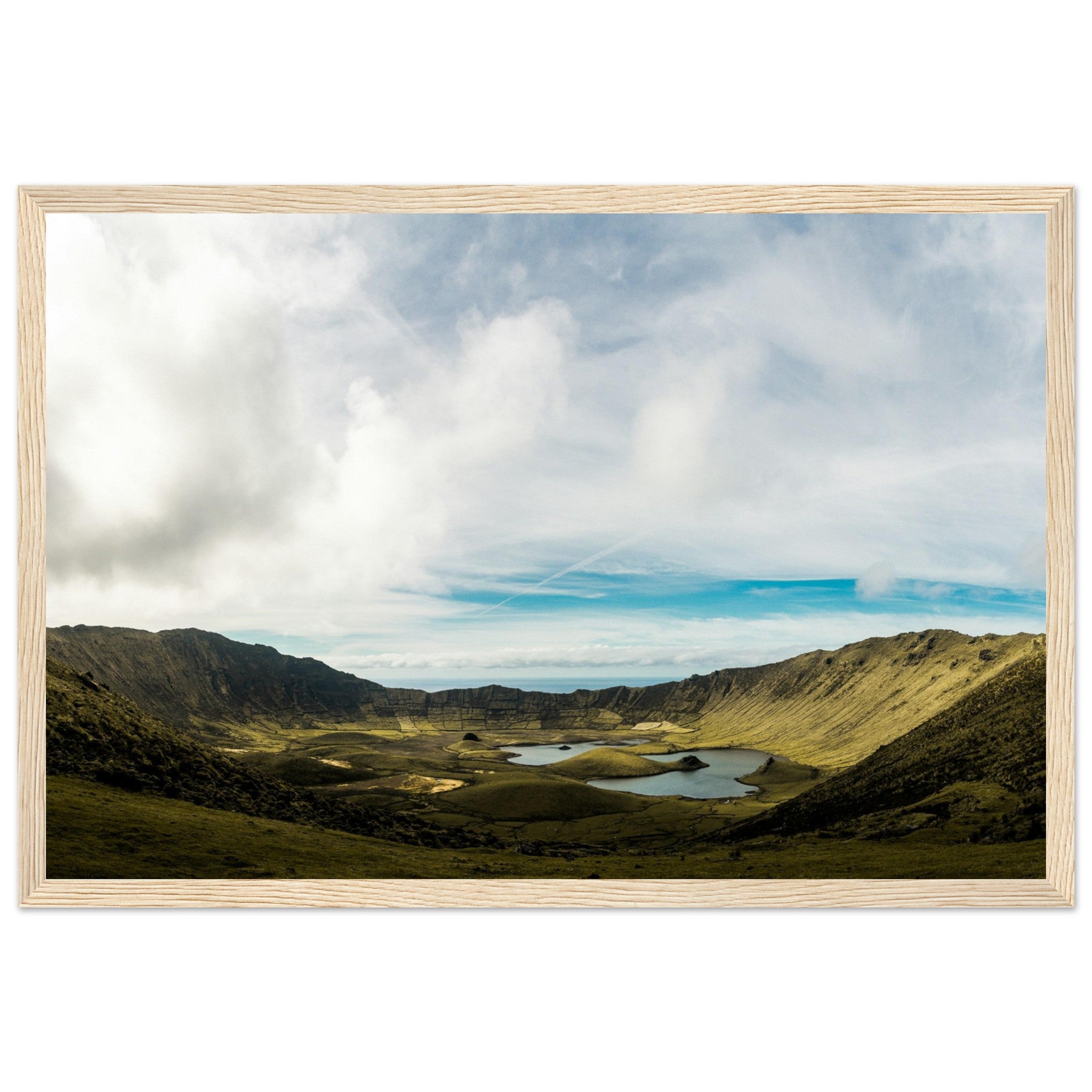 ee443719-3f7d-416b-a603-df75e5ffc040