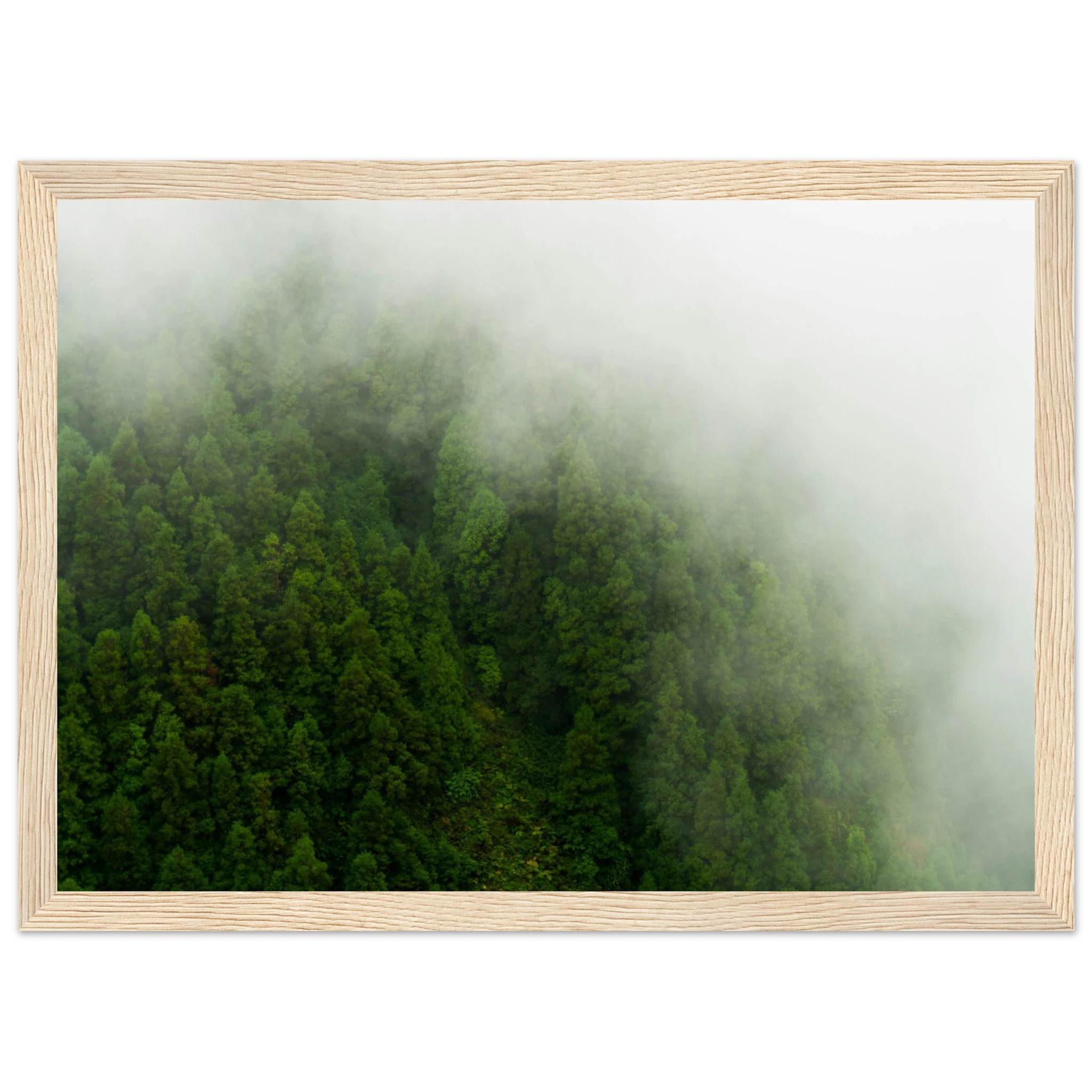 f0adda08-2b15-4a3d-afd7-cab62cb154d2