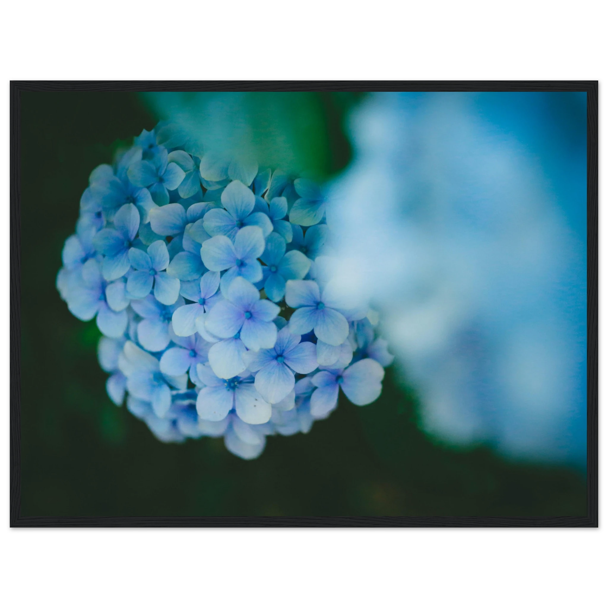 f0bf384a-6ad7-4d71-a91a-099ed7188c9e