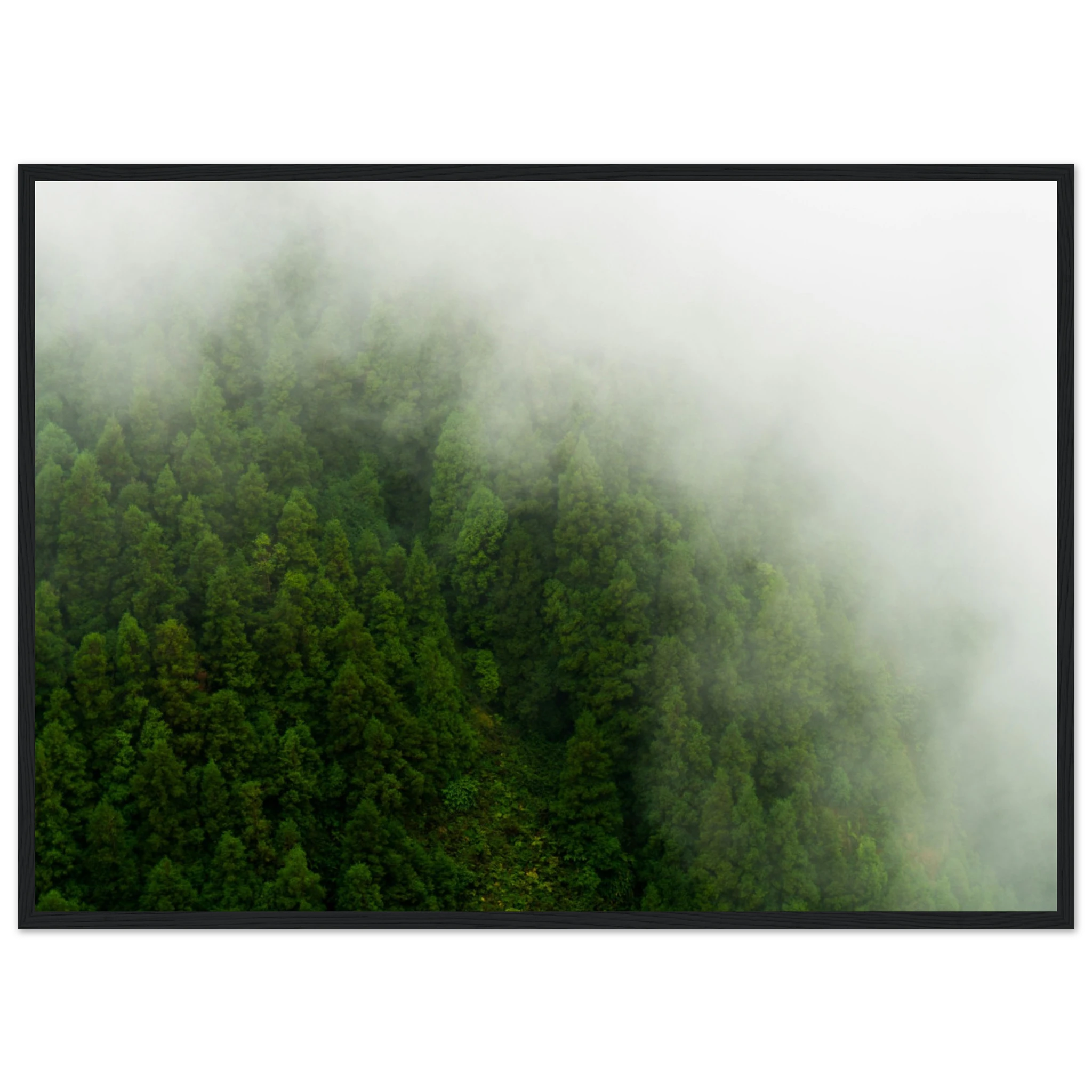 f4ac30df-73fc-4c2d-9feb-f0912689395b