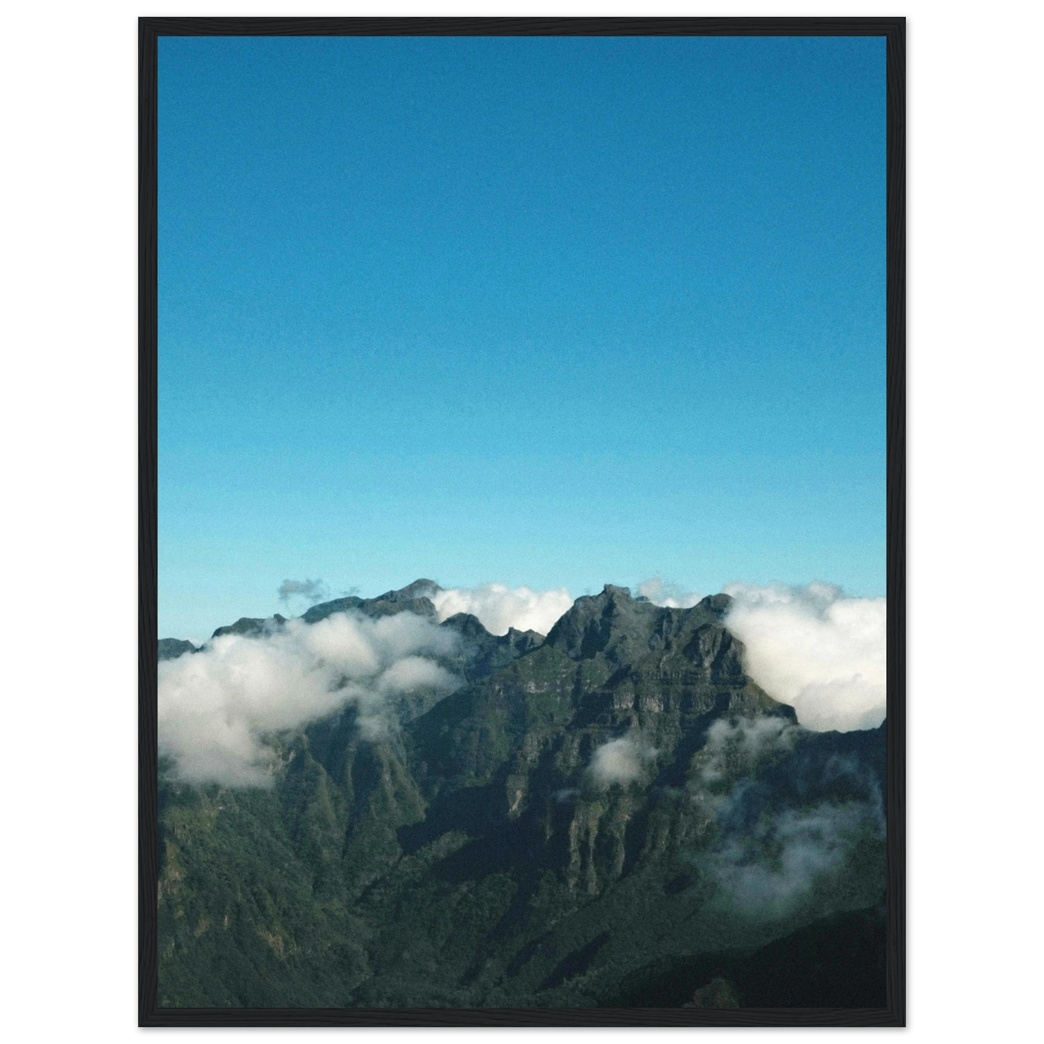 f54deaad-3d7a-4498-bfc2-b4bddd038893