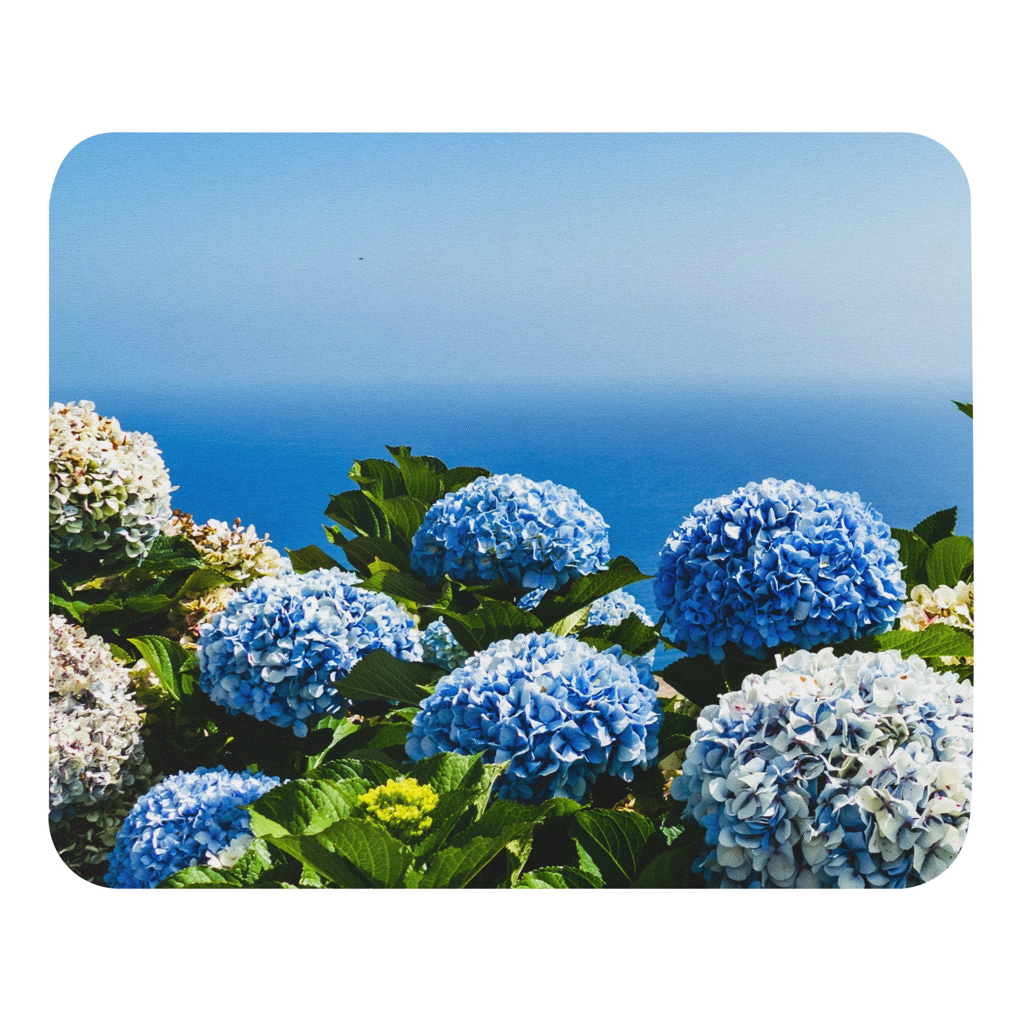 Hydrangeas - Mouse pad
